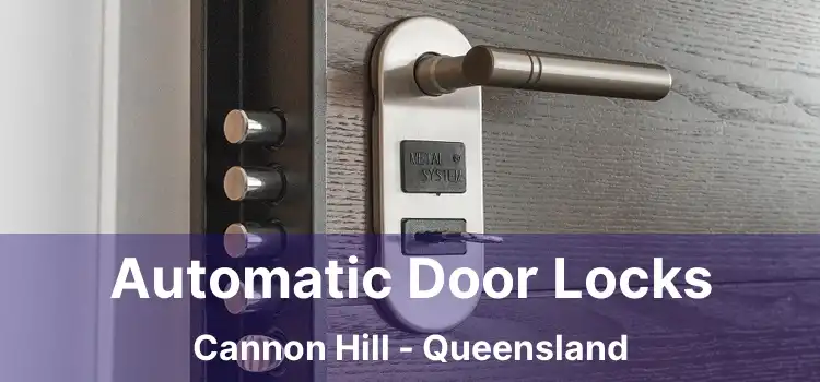 Automatic Door Locks Cannon Hill - Queensland