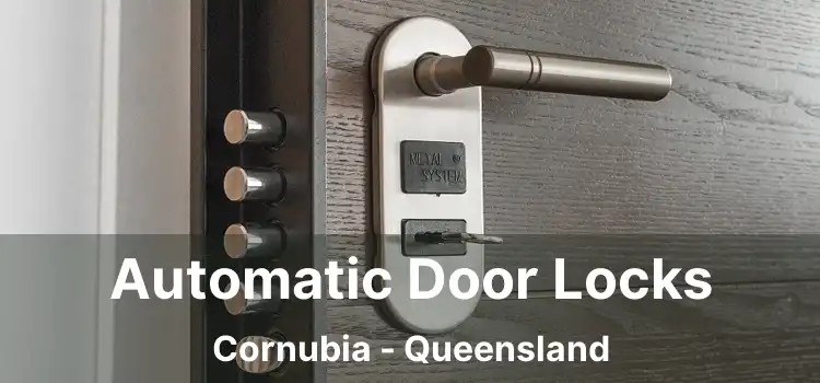 Automatic Door Locks Cornubia - Queensland