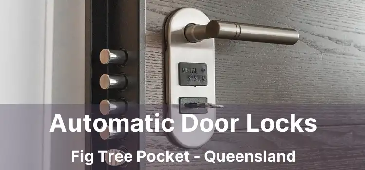 Automatic Door Locks Fig Tree Pocket - Queensland