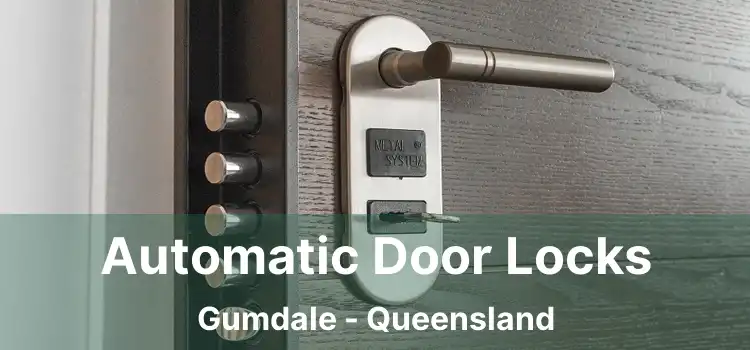 Automatic Door Locks Gumdale - Queensland