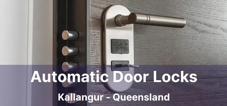 Automatic Door Locks Kallangur - Queensland