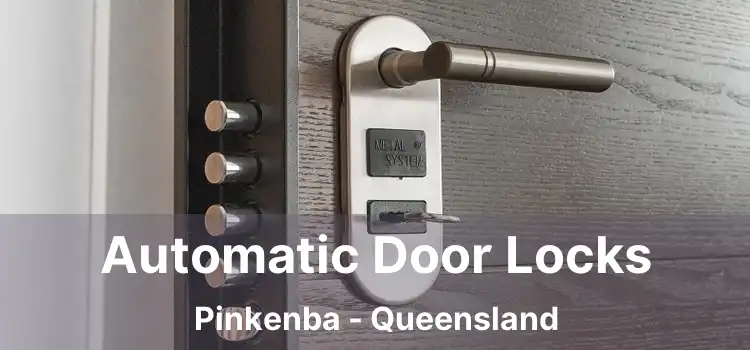 Automatic Door Locks Pinkenba - Queensland