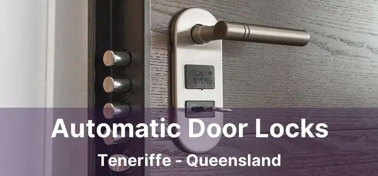 Automatic Door Locks Teneriffe - Queensland