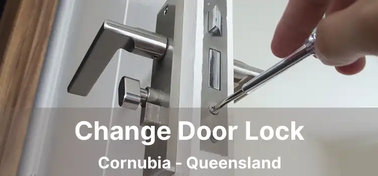 Change Door Lock Cornubia - Queensland
