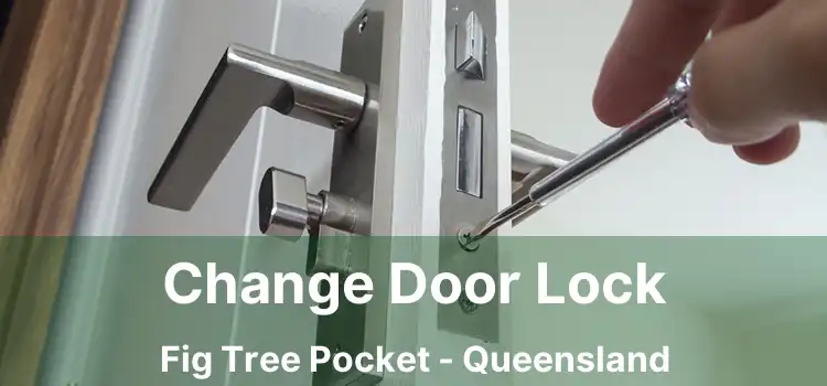 Change Door Lock Fig Tree Pocket - Queensland