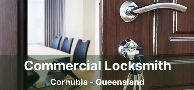 Commercial Locksmith Cornubia - Queensland