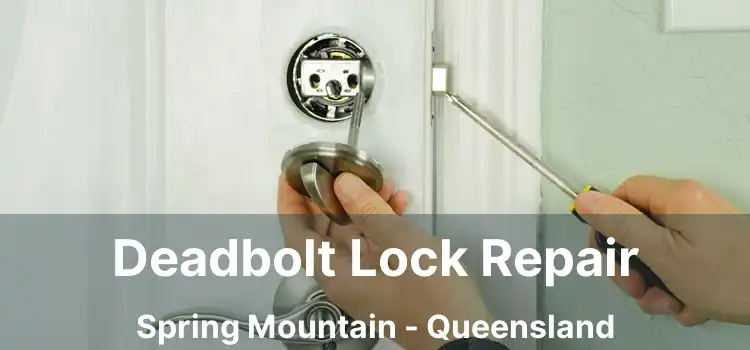 Deadbolt Lock Repair Spring Mountain - Queensland
