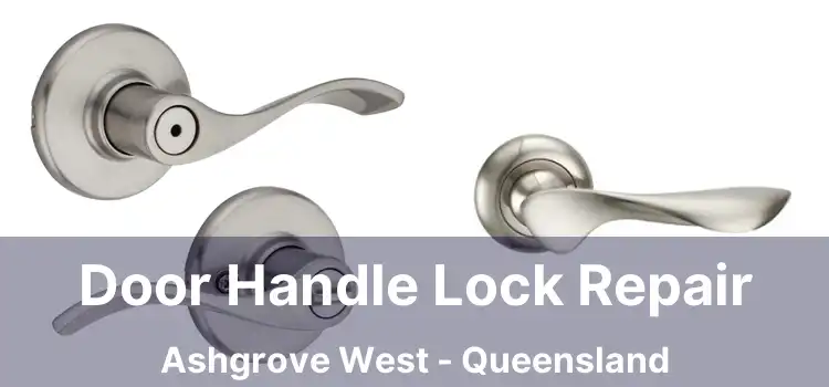 Door Handle Lock Repair Ashgrove West - Queensland