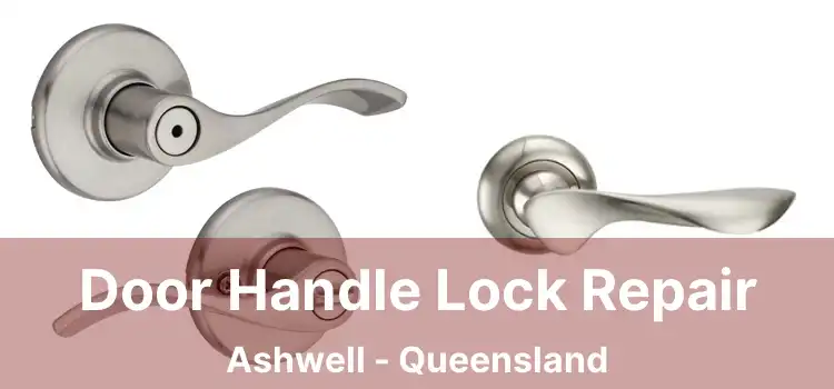 Door Handle Lock Repair Ashwell - Queensland