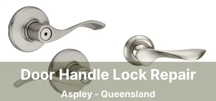 Door Handle Lock Repair Aspley - Queensland