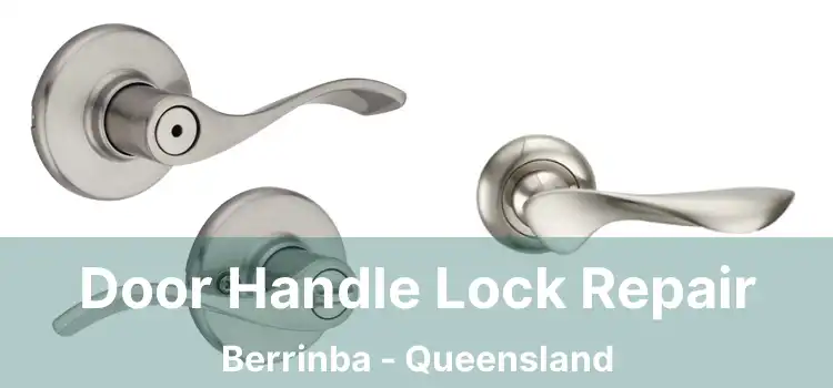 Door Handle Lock Repair Berrinba - Queensland