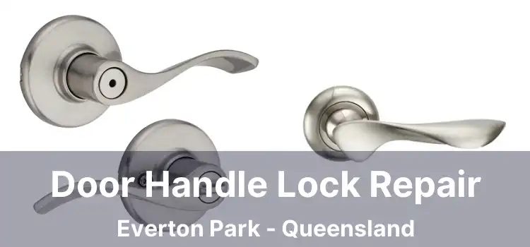 Door Handle Lock Repair Everton Park - Queensland