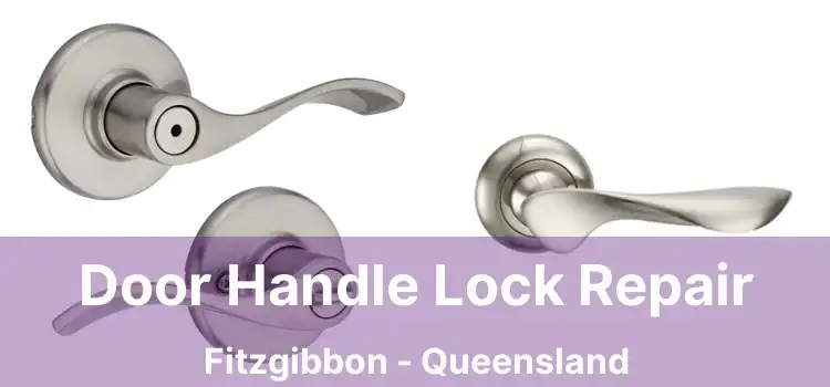 Door Handle Lock Repair Fitzgibbon - Queensland