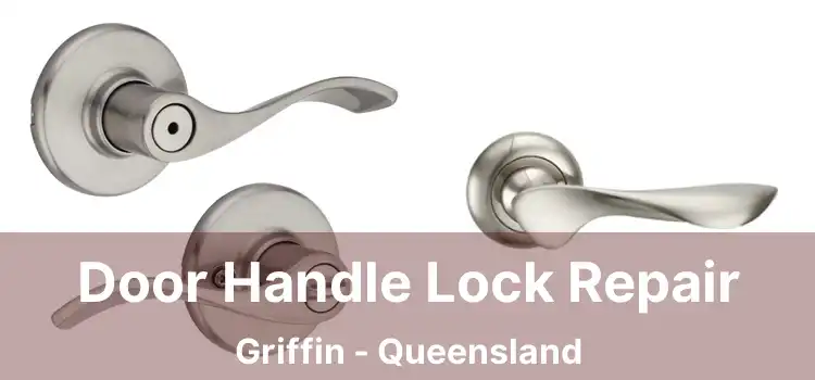 Door Handle Lock Repair Griffin - Queensland