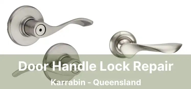 Door Handle Lock Repair Karrabin - Queensland