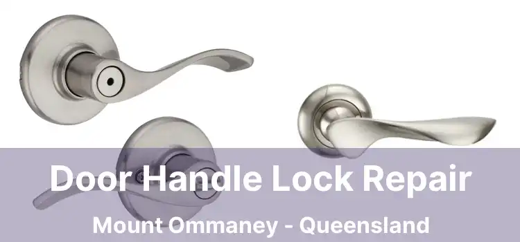 Door Handle Lock Repair Mount Ommaney - Queensland