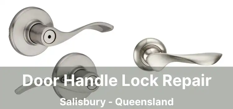 Door Handle Lock Repair Salisbury - Queensland