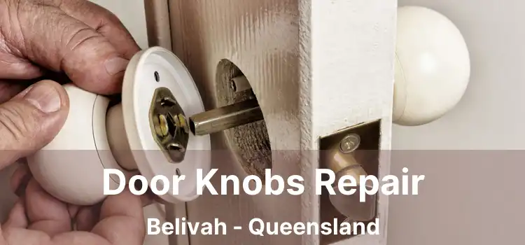 Door Knobs Repair Belivah - Queensland