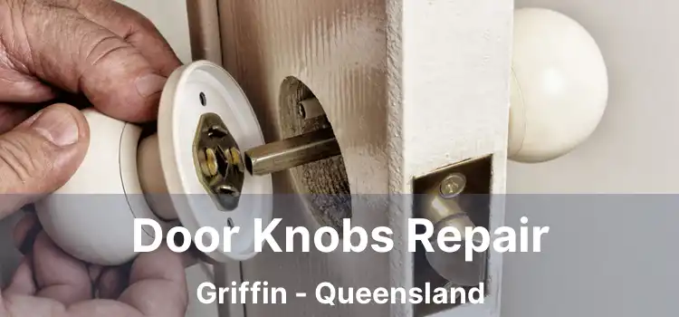 Door Knobs Repair Griffin - Queensland