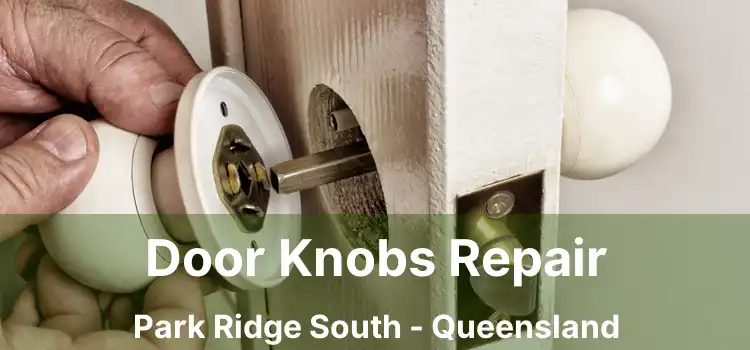 Door Knobs Repair Park Ridge South - Queensland