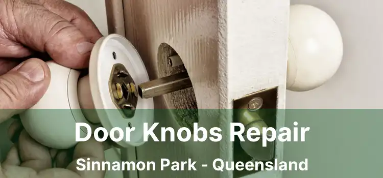 Door Knobs Repair Sinnamon Park - Queensland