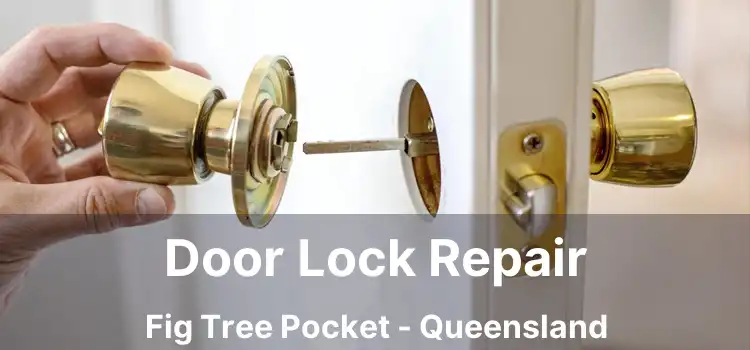 Door Lock Repair Fig Tree Pocket - Queensland