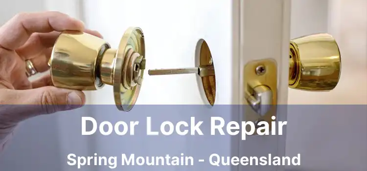 Door Lock Repair Spring Mountain - Queensland