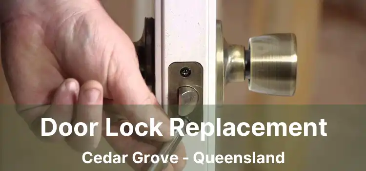 Door Lock Replacement Cedar Grove - Queensland