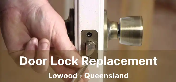 Door Lock Replacement Lowood - Queensland