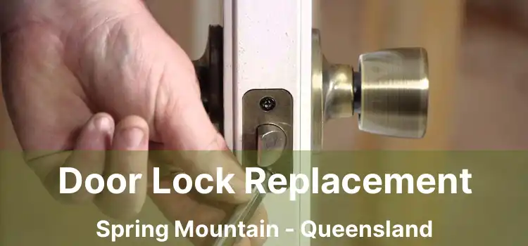 Door Lock Replacement Spring Mountain - Queensland