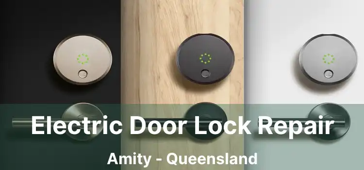 Electric Door Lock Repair Amity - Queensland