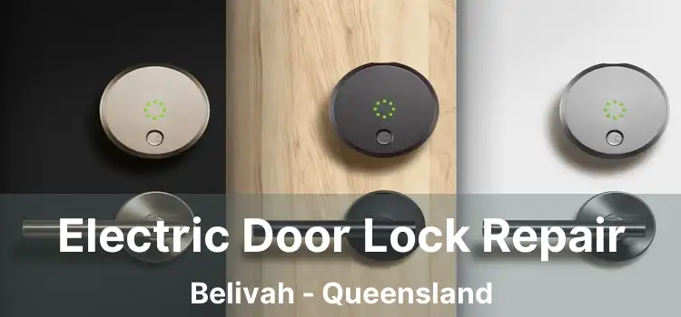 Electric Door Lock Repair Belivah - Queensland