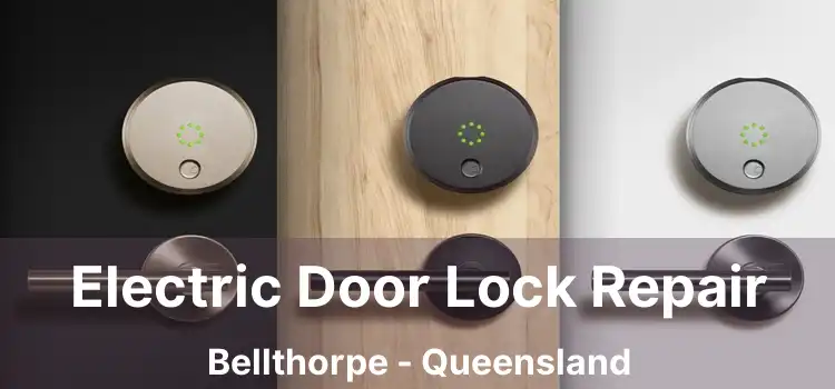 Electric Door Lock Repair Bellthorpe - Queensland