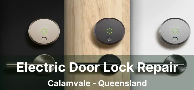 Electric Door Lock Repair Calamvale - Queensland