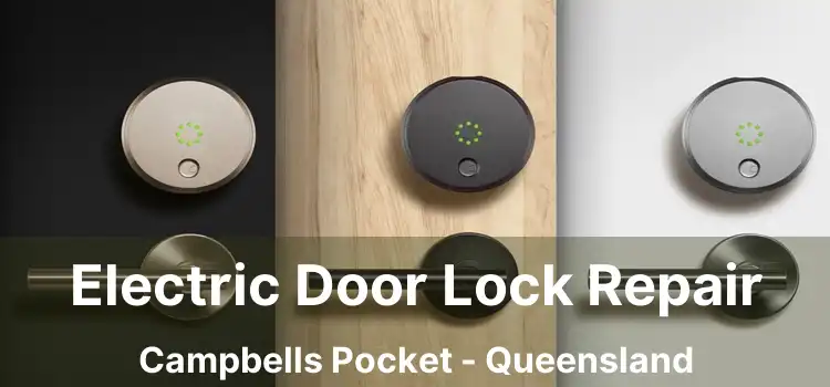 Electric Door Lock Repair Campbells Pocket - Queensland
