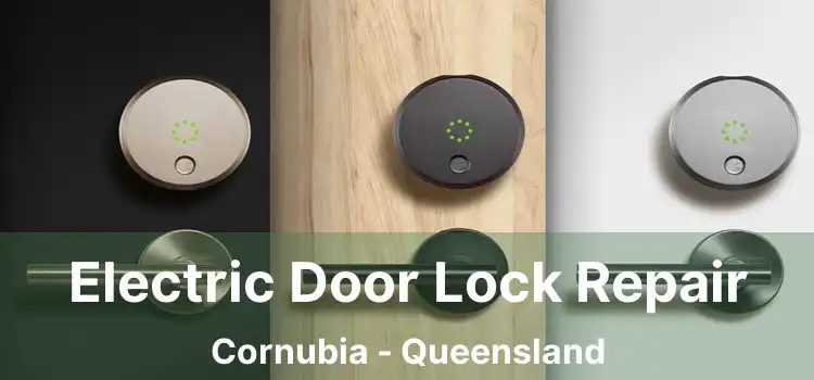Electric Door Lock Repair Cornubia - Queensland