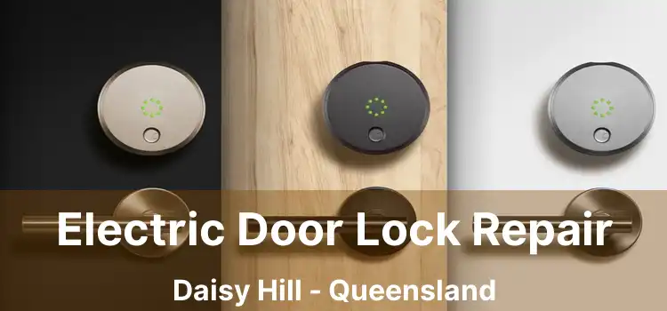 Electric Door Lock Repair Daisy Hill - Queensland