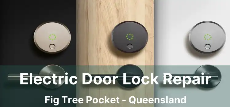 Electric Door Lock Repair Fig Tree Pocket - Queensland