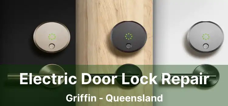 Electric Door Lock Repair Griffin - Queensland
