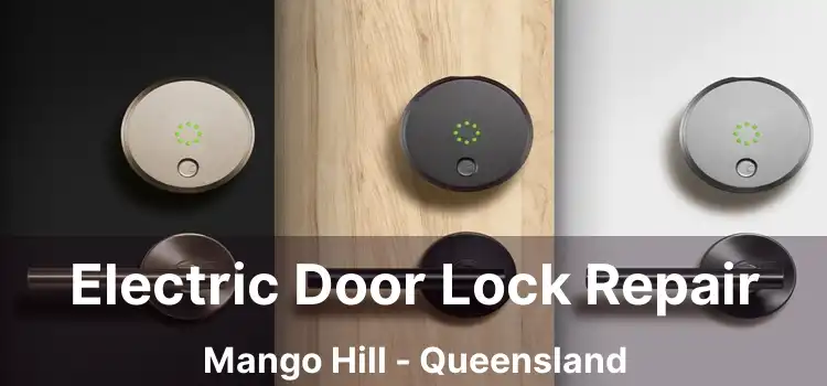 Electric Door Lock Repair Mango Hill - Queensland