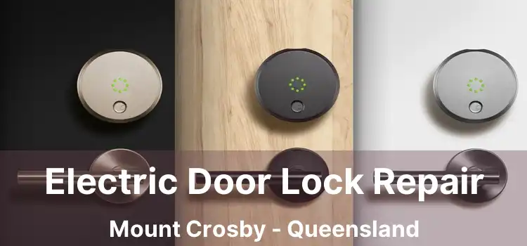 Electric Door Lock Repair Mount Crosby - Queensland