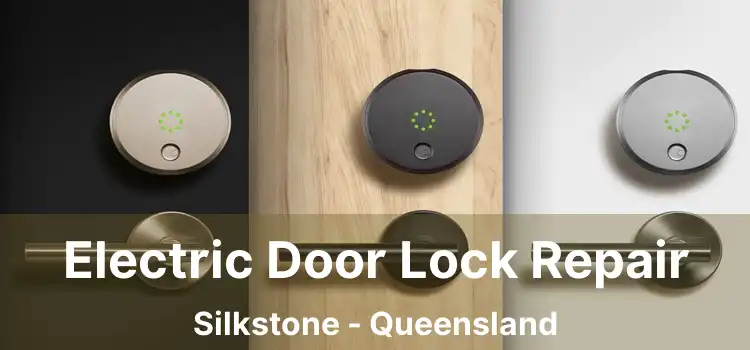 Electric Door Lock Repair Silkstone - Queensland