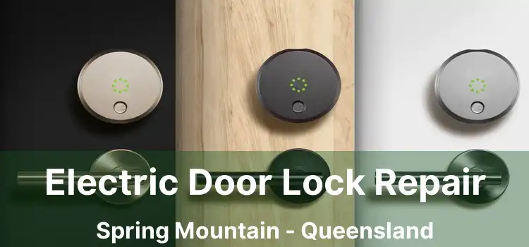 Electric Door Lock Repair Spring Mountain - Queensland