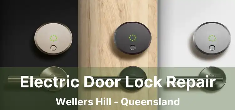 Electric Door Lock Repair Wellers Hill - Queensland