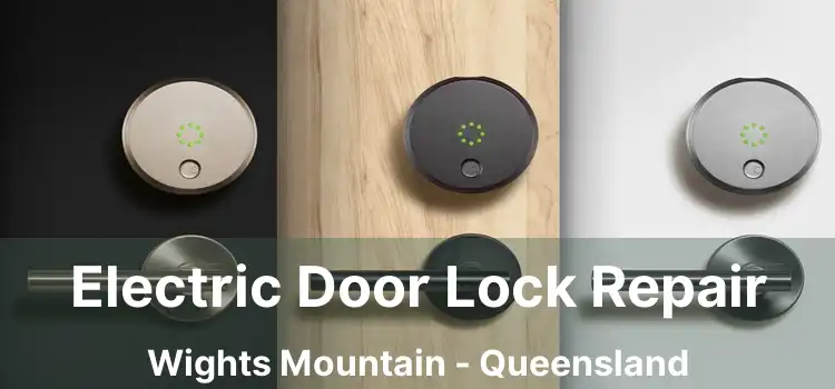 Electric Door Lock Repair Wights Mountain - Queensland