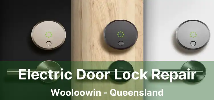 Electric Door Lock Repair Wooloowin - Queensland