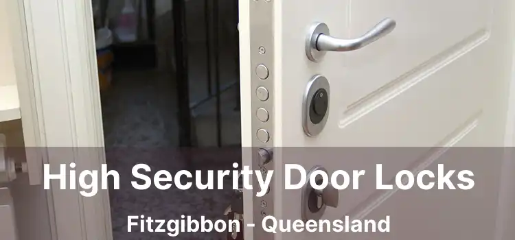 High Security Door Locks Fitzgibbon - Queensland