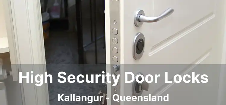High Security Door Locks Kallangur - Queensland