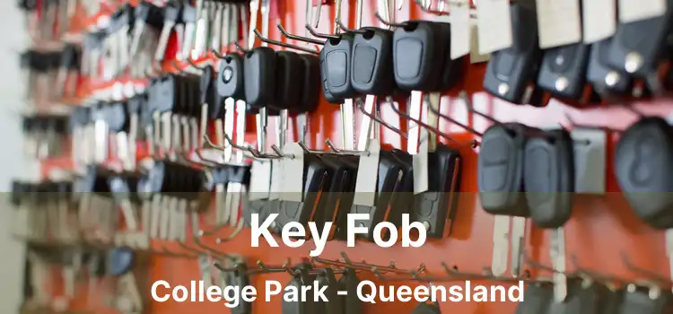 Key Fob College Park - Queensland