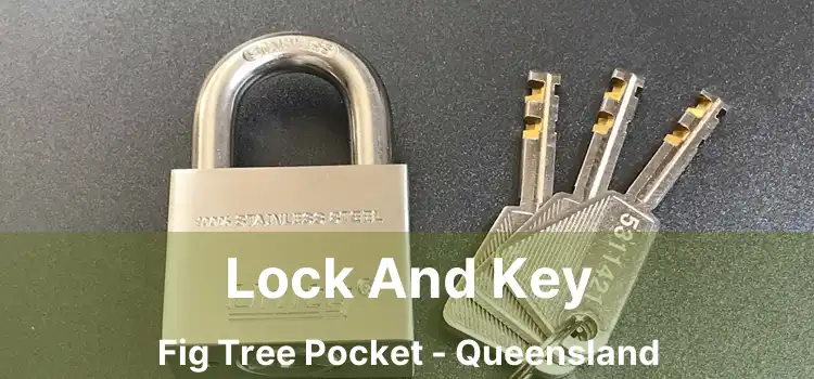 Lock And Key Fig Tree Pocket - Queensland